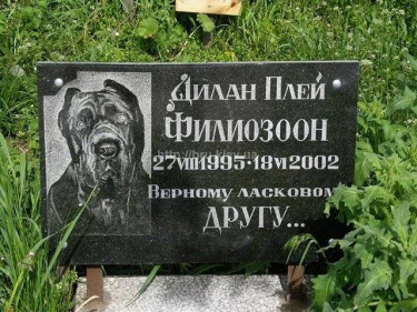 Табличка гранітна для домашніх тварин з портретом і написом