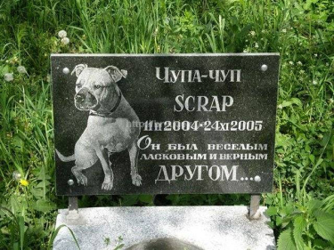 Табличка гранітна для домашніх тварин з портретом і написом