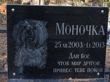 Табличка гранітна для домашніх тварин з портретом і написом