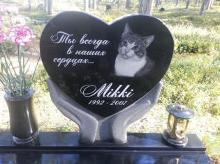 Пам'ятник для кота у формі серця в долонях