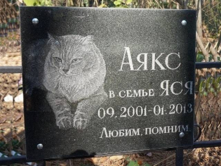 Табличка гранітна для котика з портретом і написом