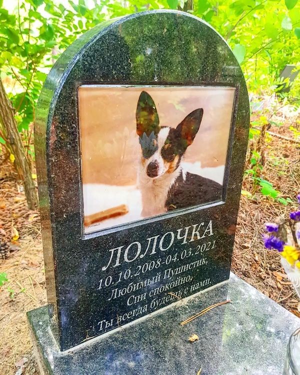 Памятник собаке с цветной фото под стеклом