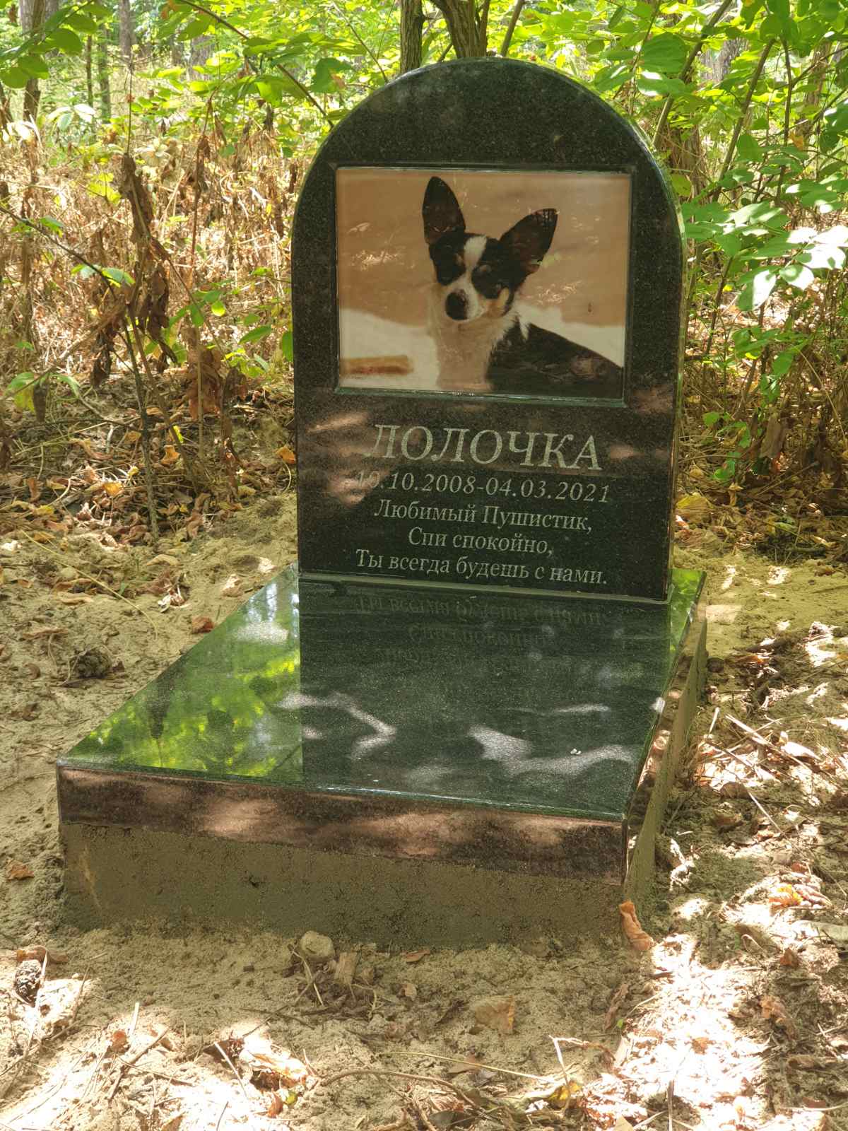 Памятник для домашнего животного из гранита и фото на стекле