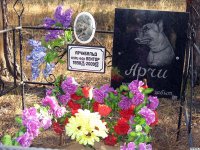 Памятники на кладбище домашних животных